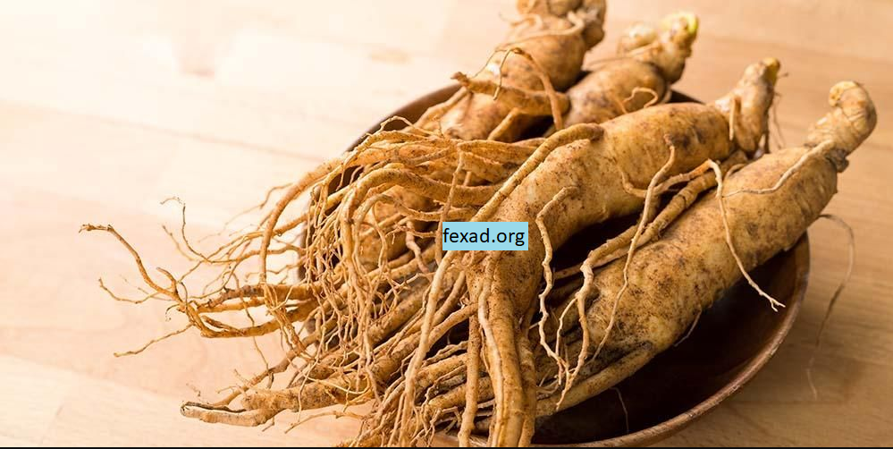 Baguskah Obat Kuat Herbal Tahan Lama ?